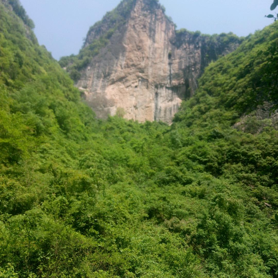 涅槃重生