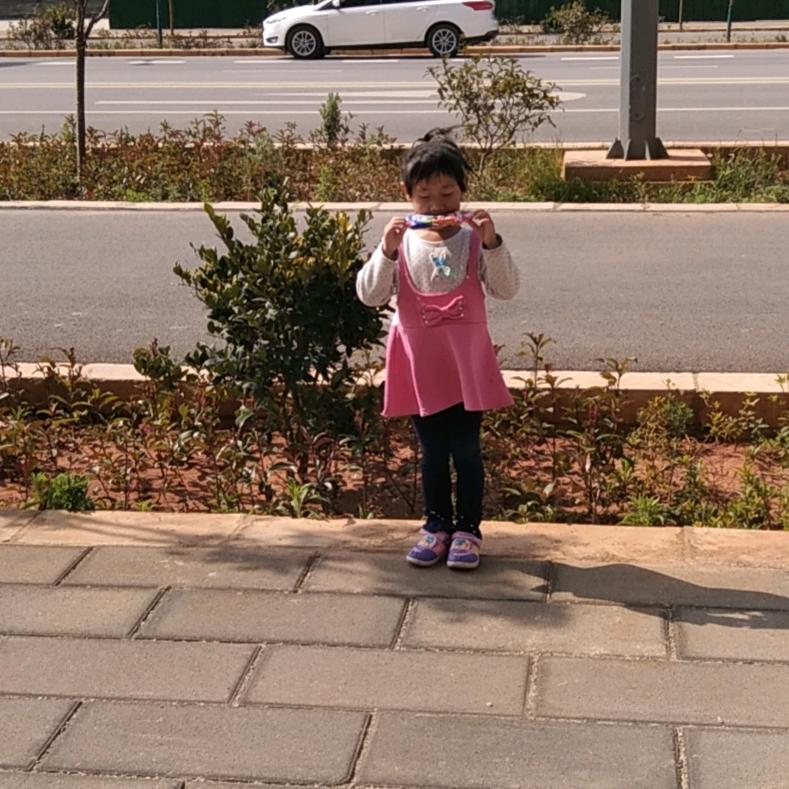 蒋师专业做绿化种植改造挖树