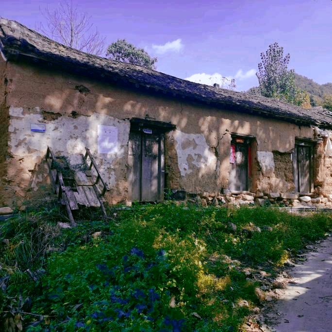 老家食堂官方号