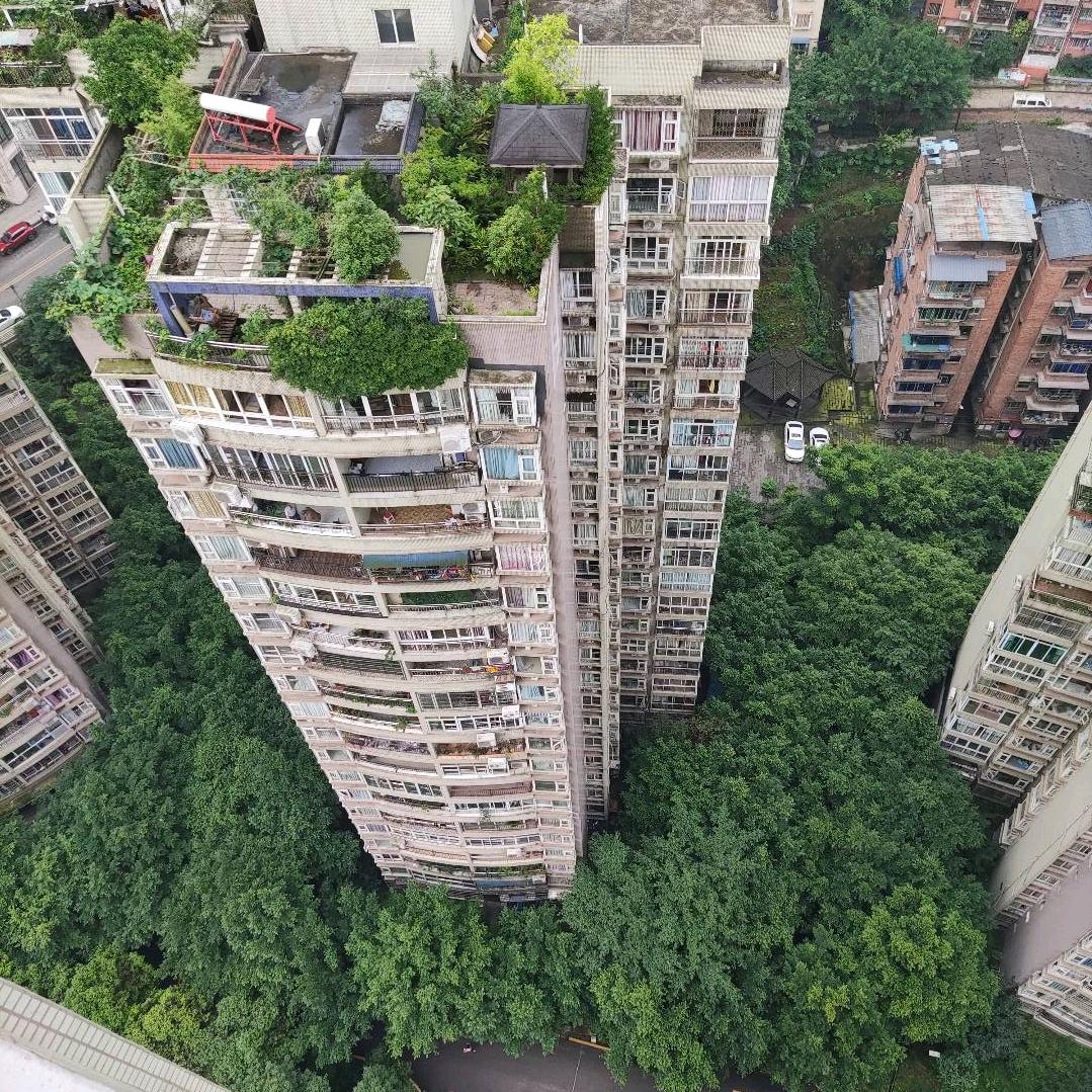 青山绿水