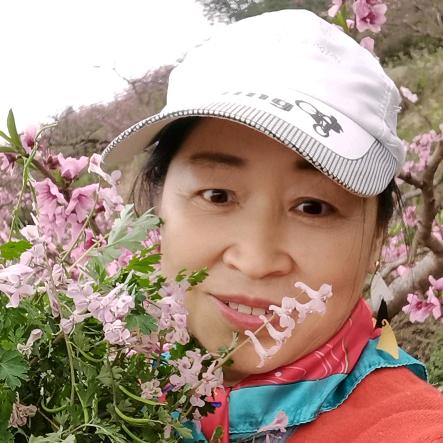 （60后，单亲英姐）早上：8一30开播