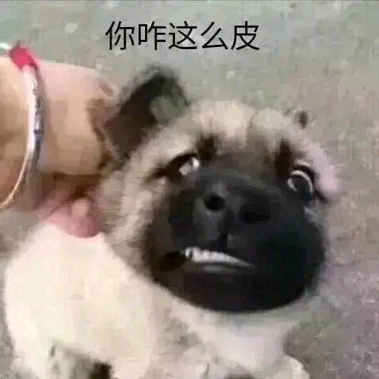 片痴头像