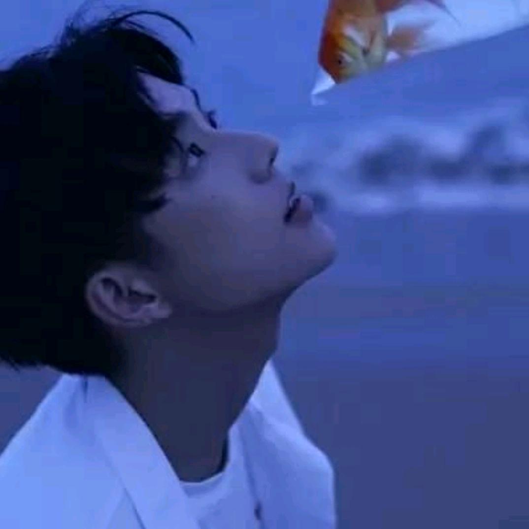 ╰☆繁华の明☆╮