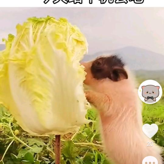 李乘风