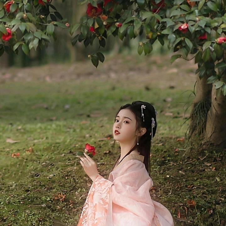 风中百合