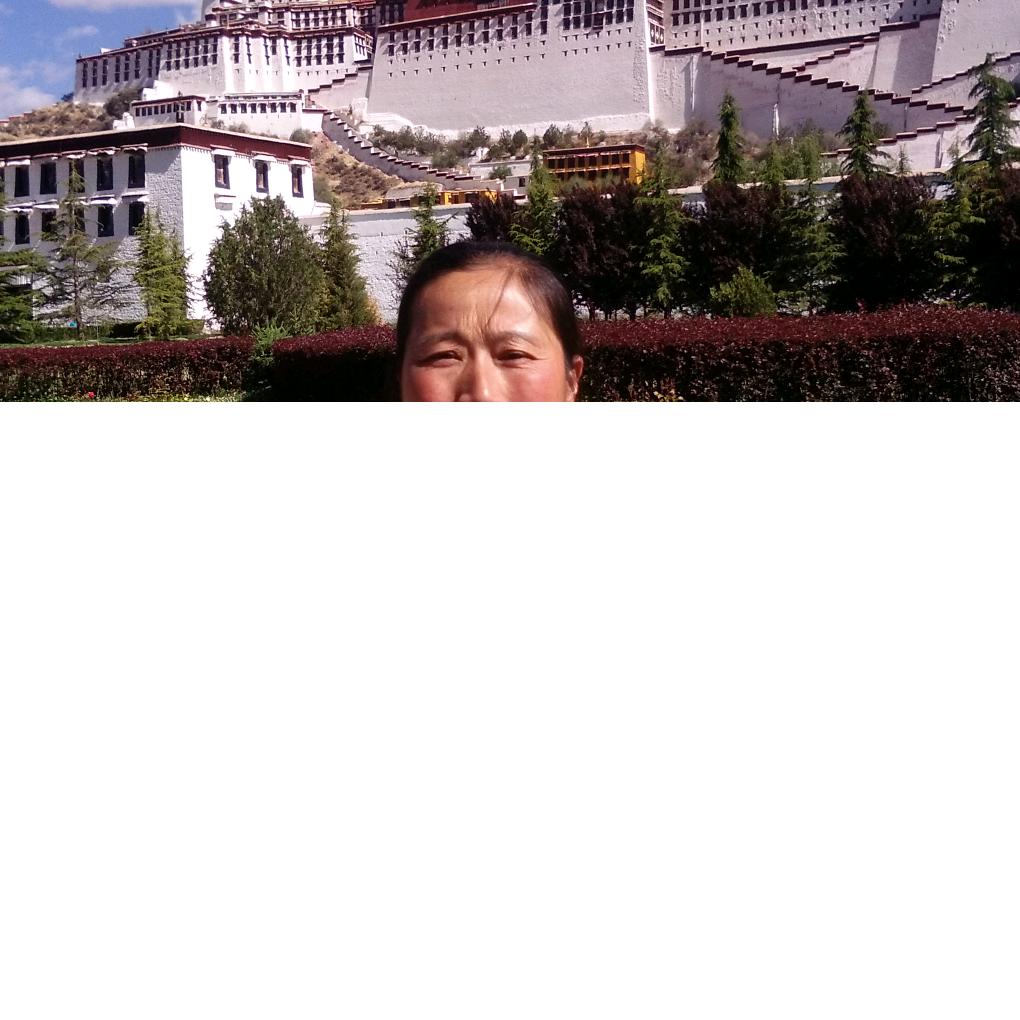 李凤华