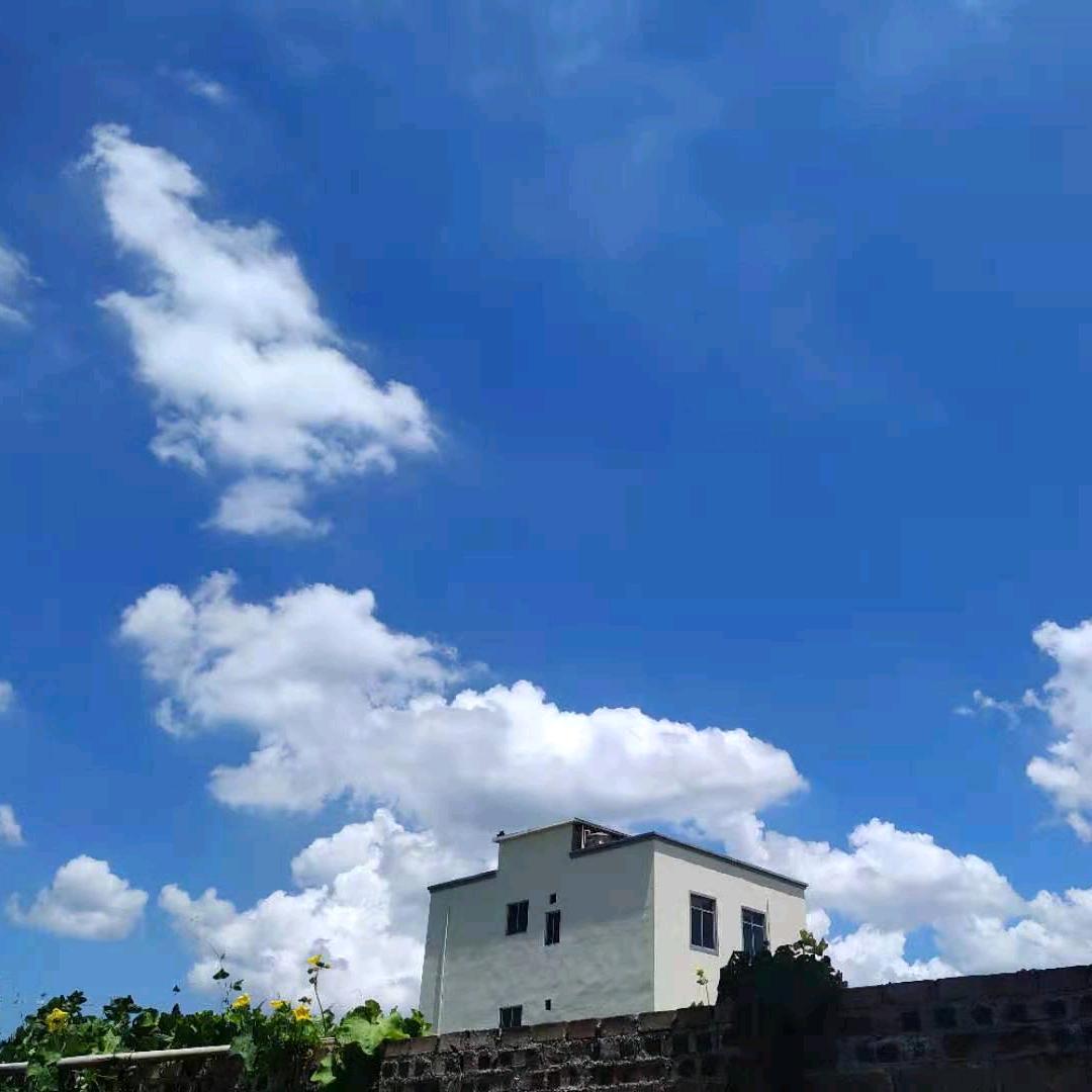 你若盛开，好运头像