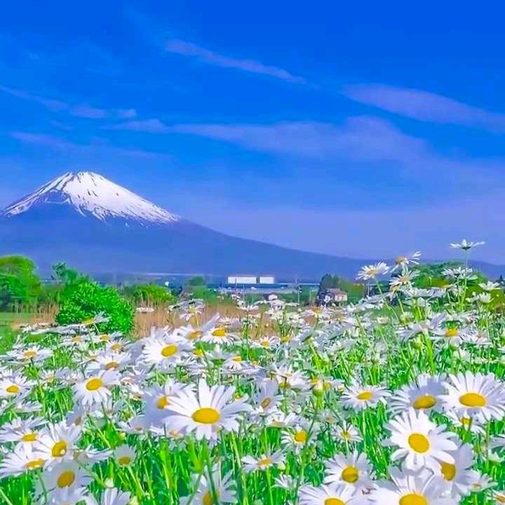 余生🐼一个你🎋ʸ