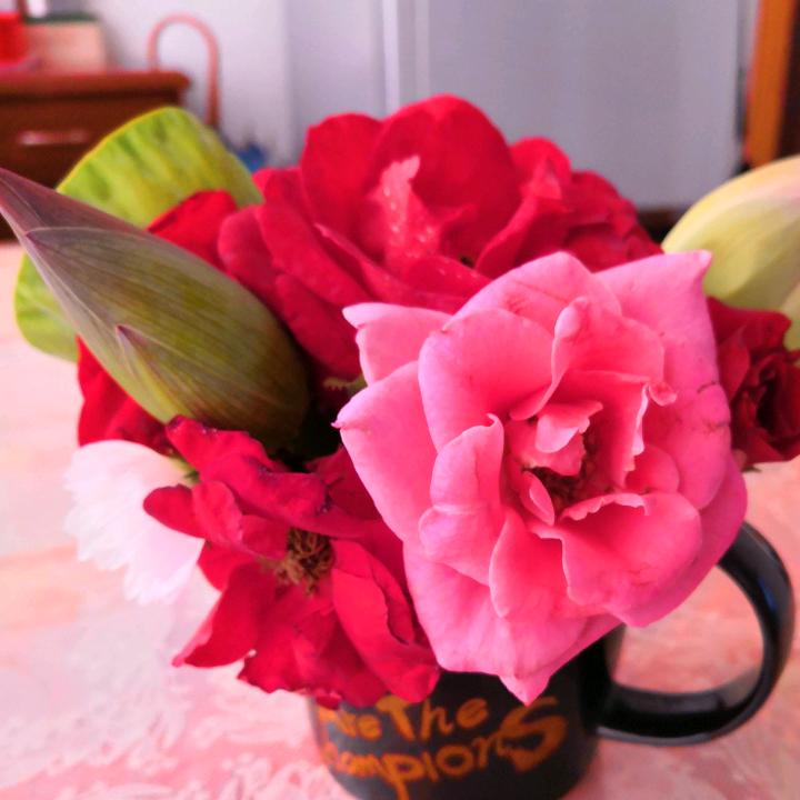 🌹余生有你