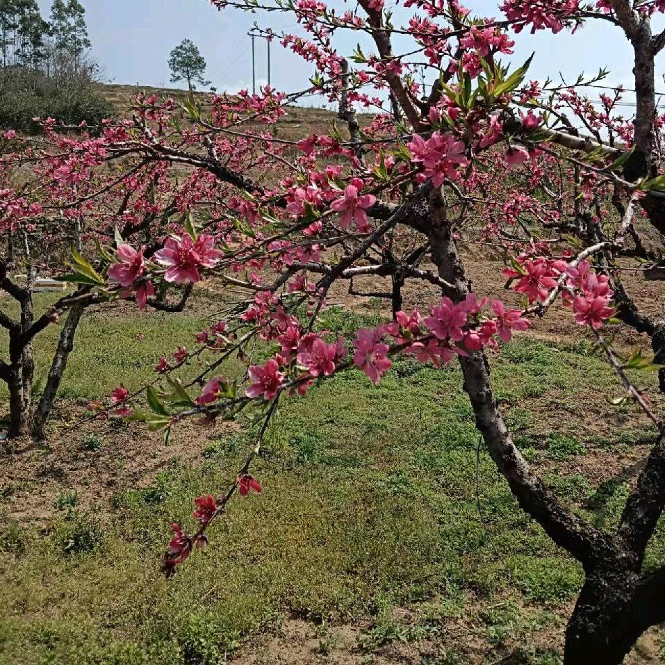 信