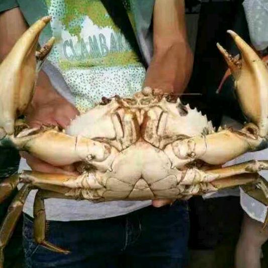 素友水产品经营部