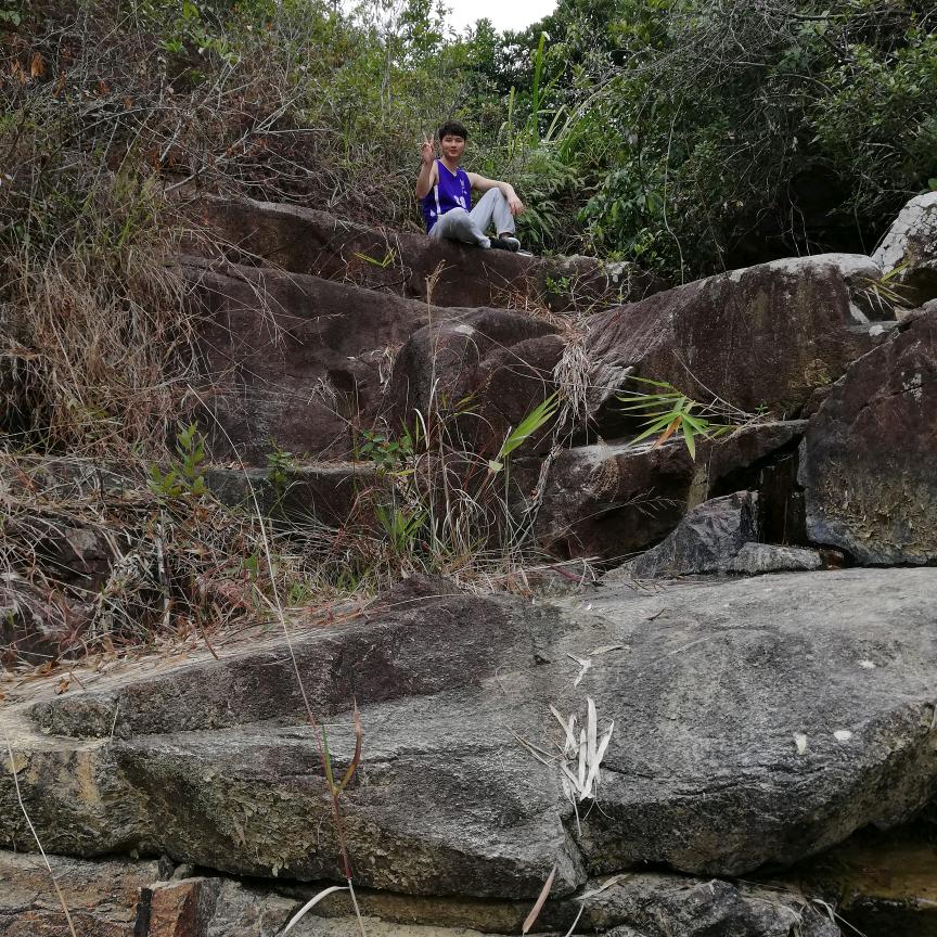 老板，来个烧鹅腿不要砍