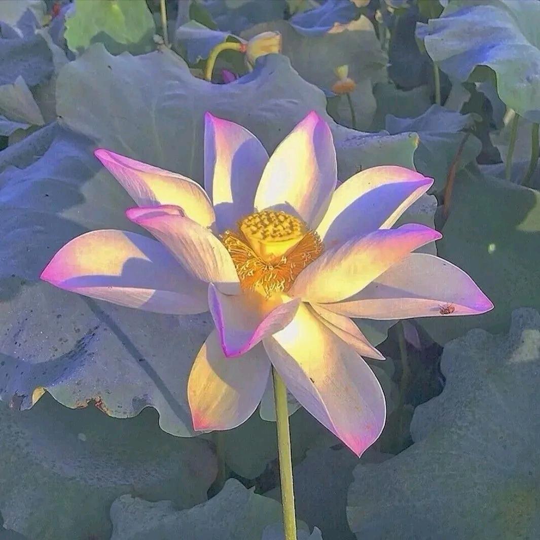 年轻真好
