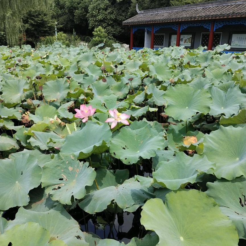 给自己的回忆⁵²⁰ 💋˶⍤⃝王