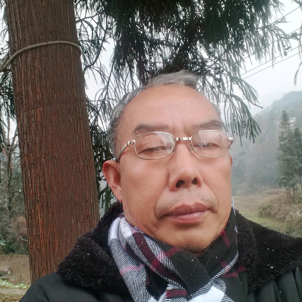 永远健康松不老