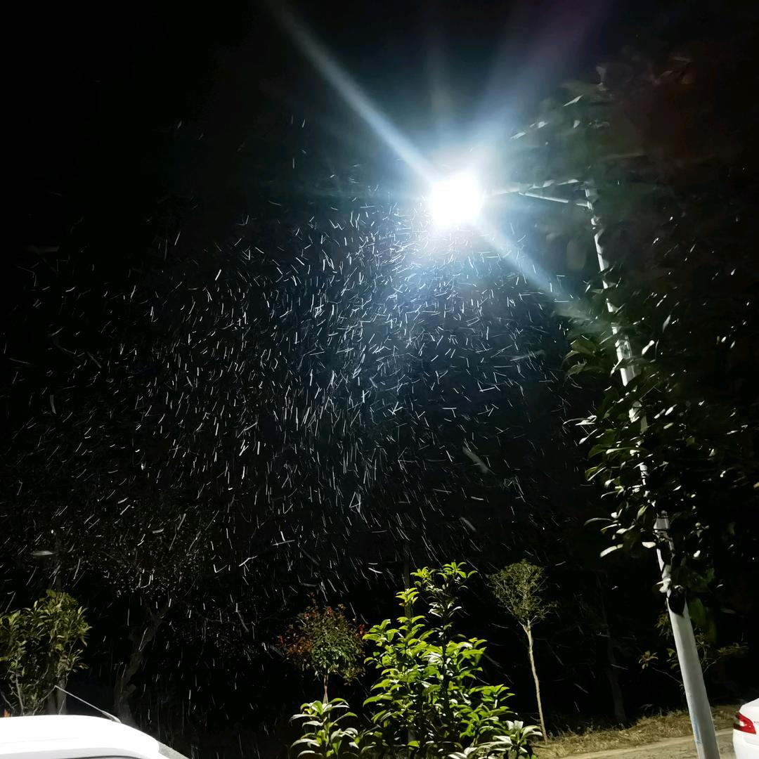 🌈嗯嗯 对对对🌈