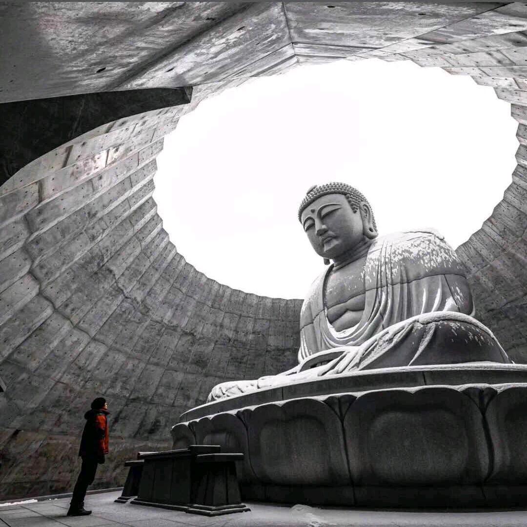 沉梦昂志