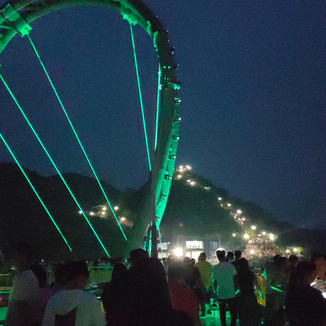 美丽的同年