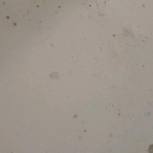 風風雨雨抖音有你