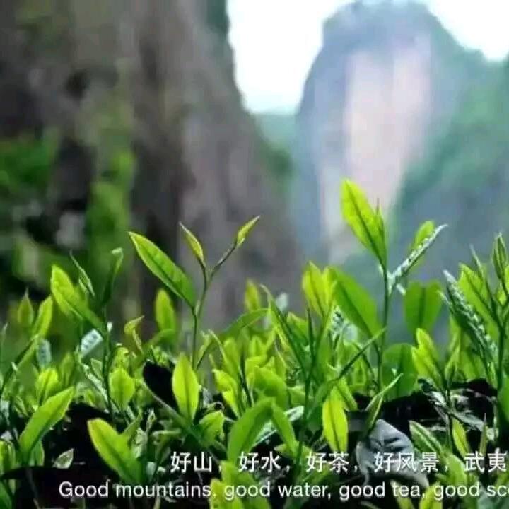 贵宾茗茶