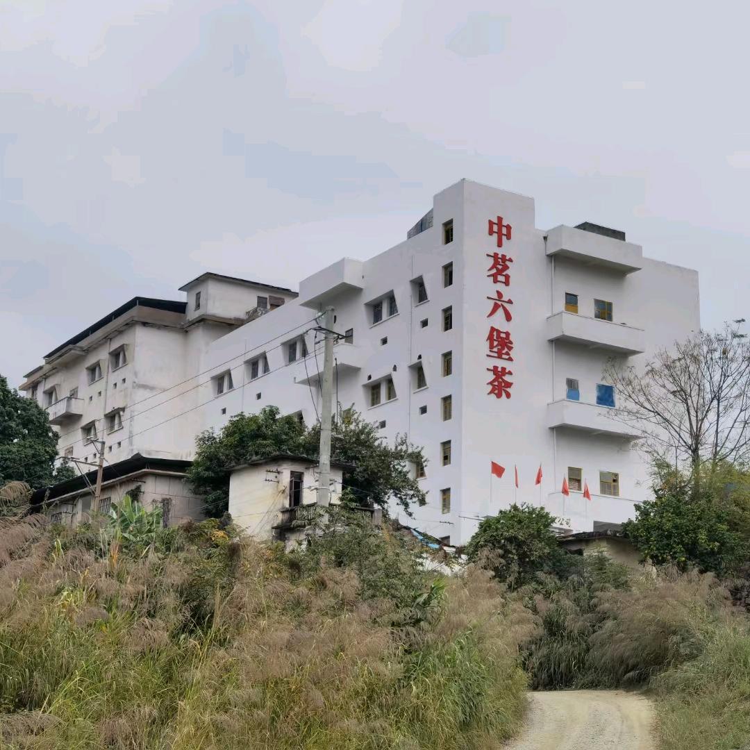 中茗六堡茶