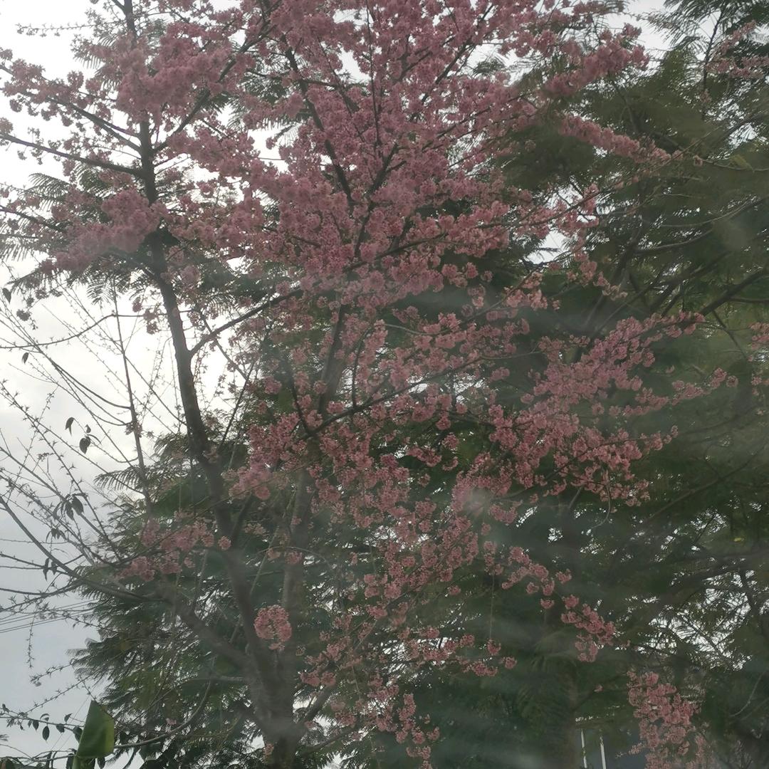 123123123（橱窗有好物）