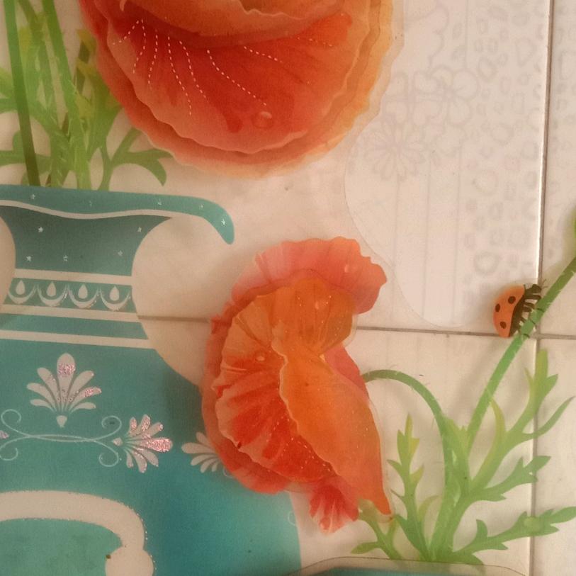 月姐
