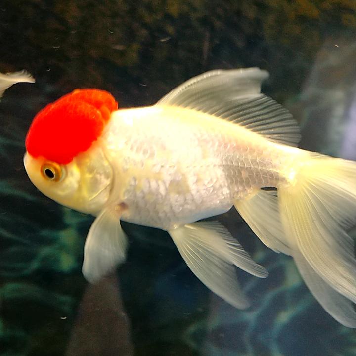 万丈高楼平地起