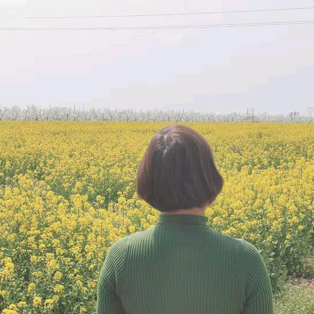 砥砺前行