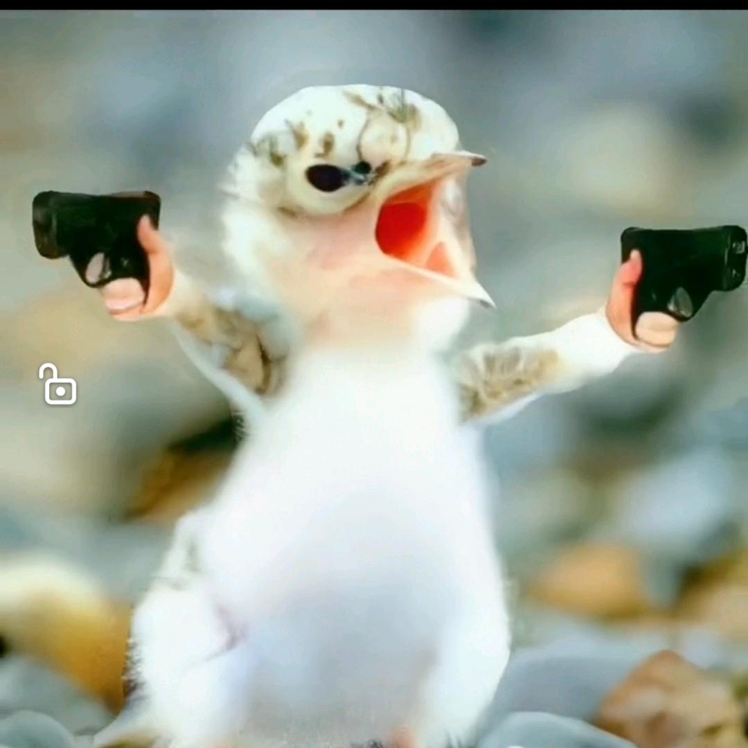 ！！@@