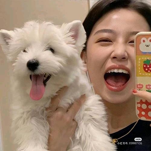 橘子果酱！！！（摆烂版）