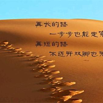 放牛的娃
