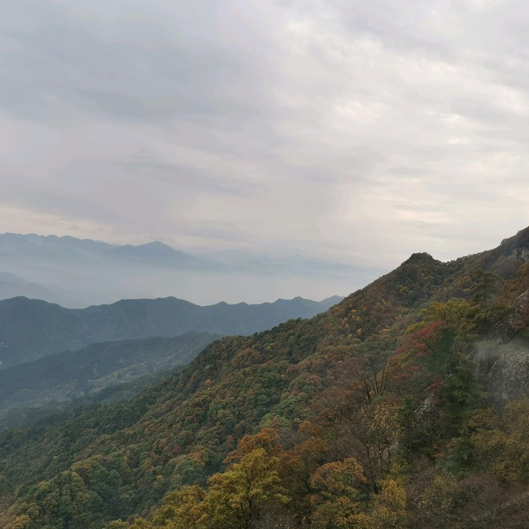 马家园子