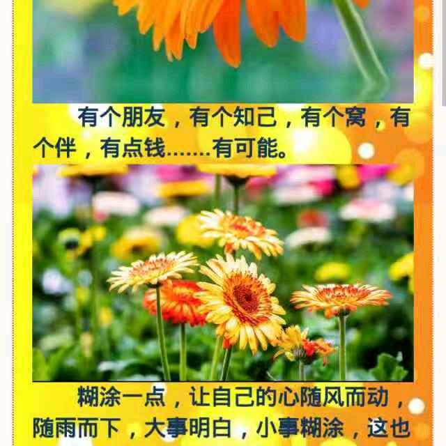 我多想