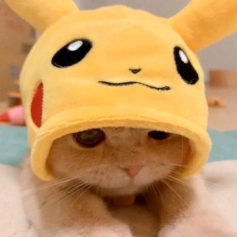 周周_头像
