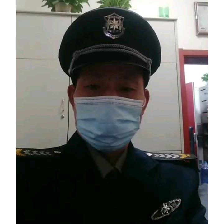 勤劳的蜜蜂