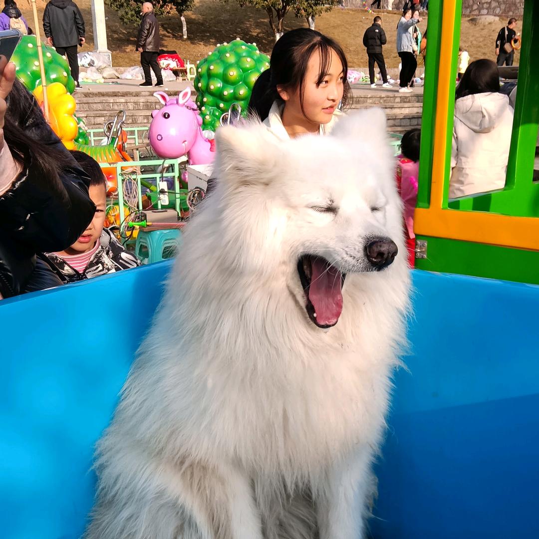 ，快乐，过好每一天