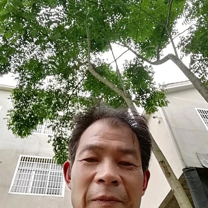 天天想你😘