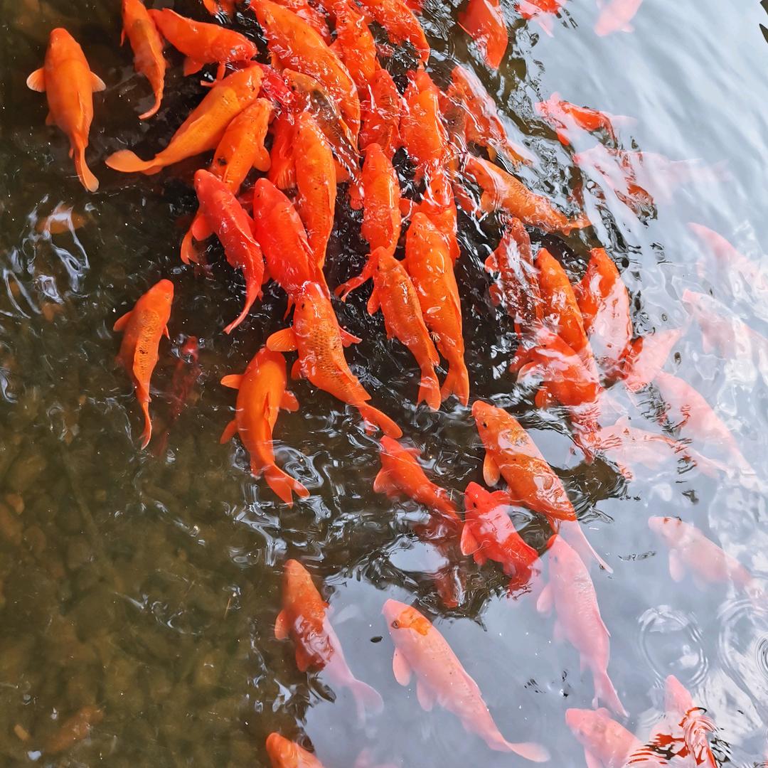 看透凡尘