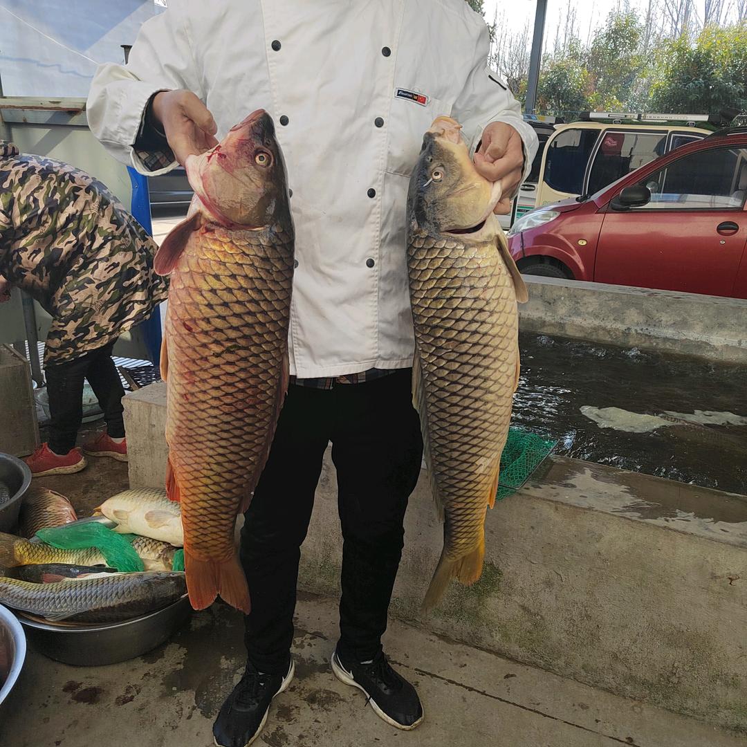 微山湖渔民琳哥