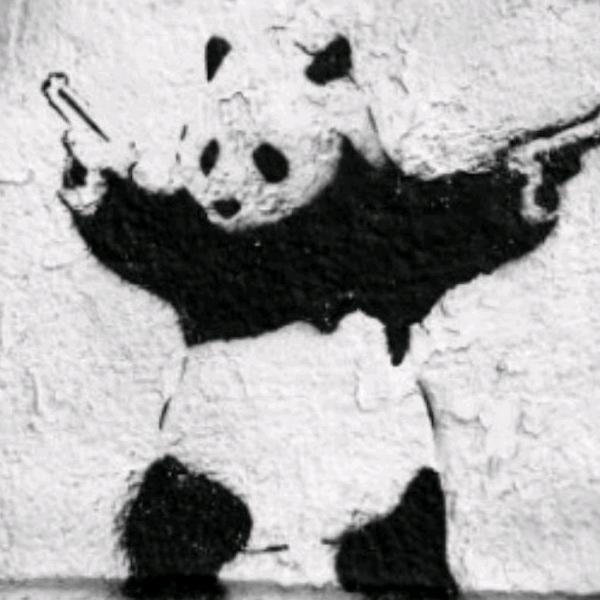 糖糖追剧