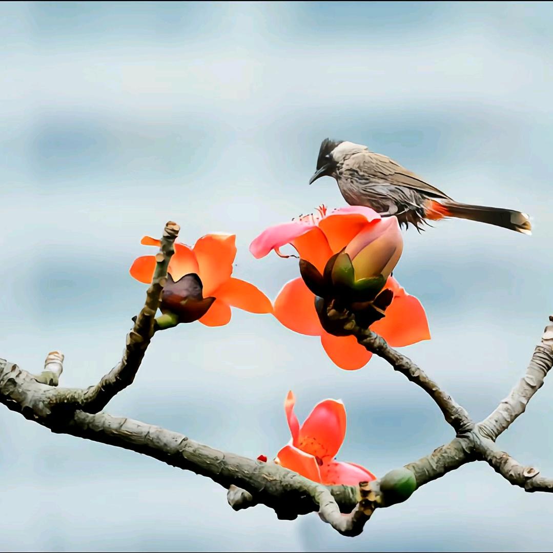 🎶🎶起航新梦想