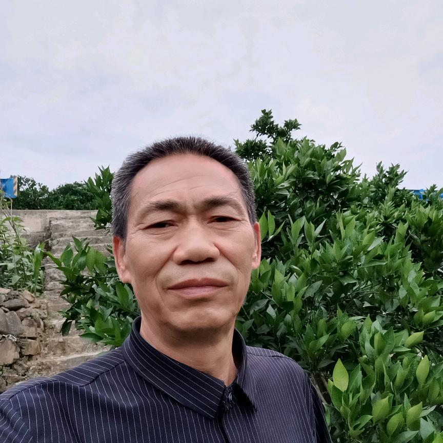 天天见晚上7点