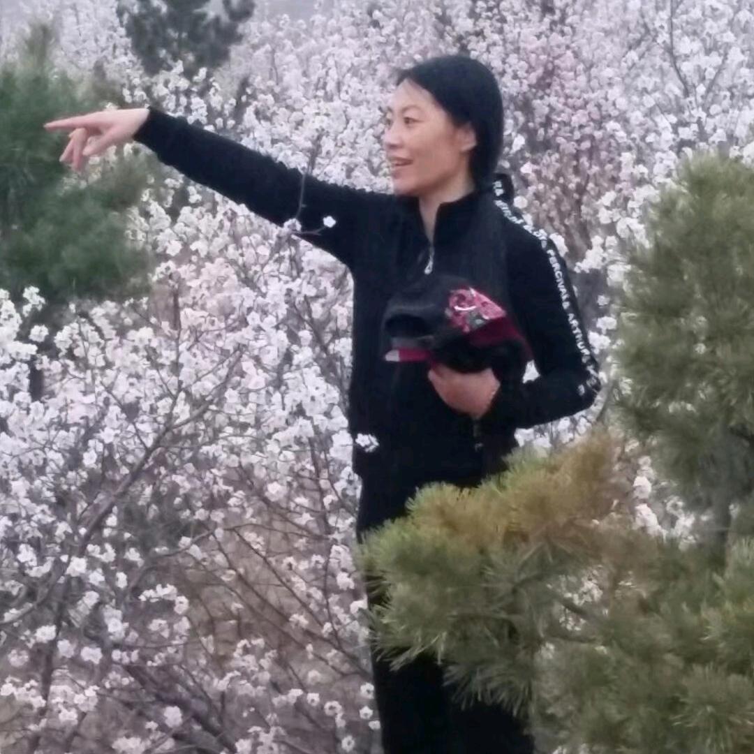 唐狮电锅炉，赤峰市销售处