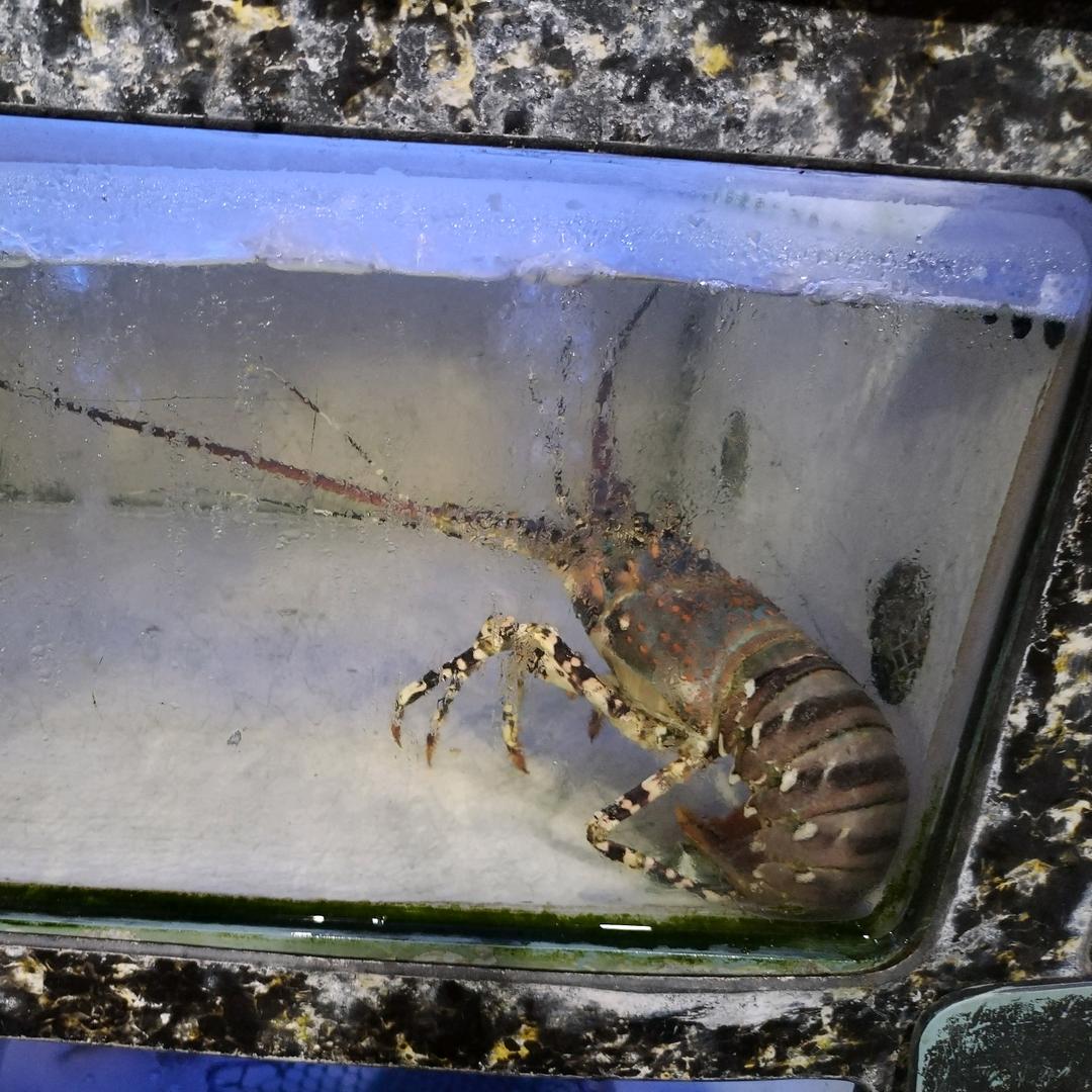 交丙坛通记砂锅粥