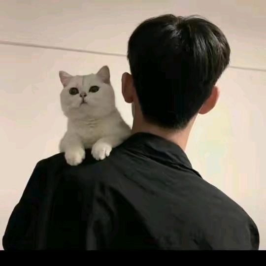 睡不醒的小李
