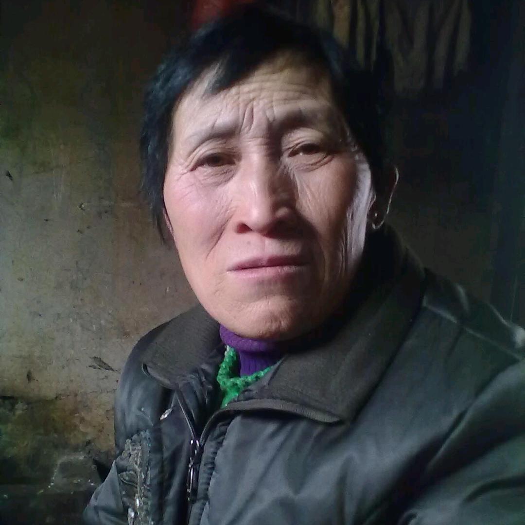 开心小象