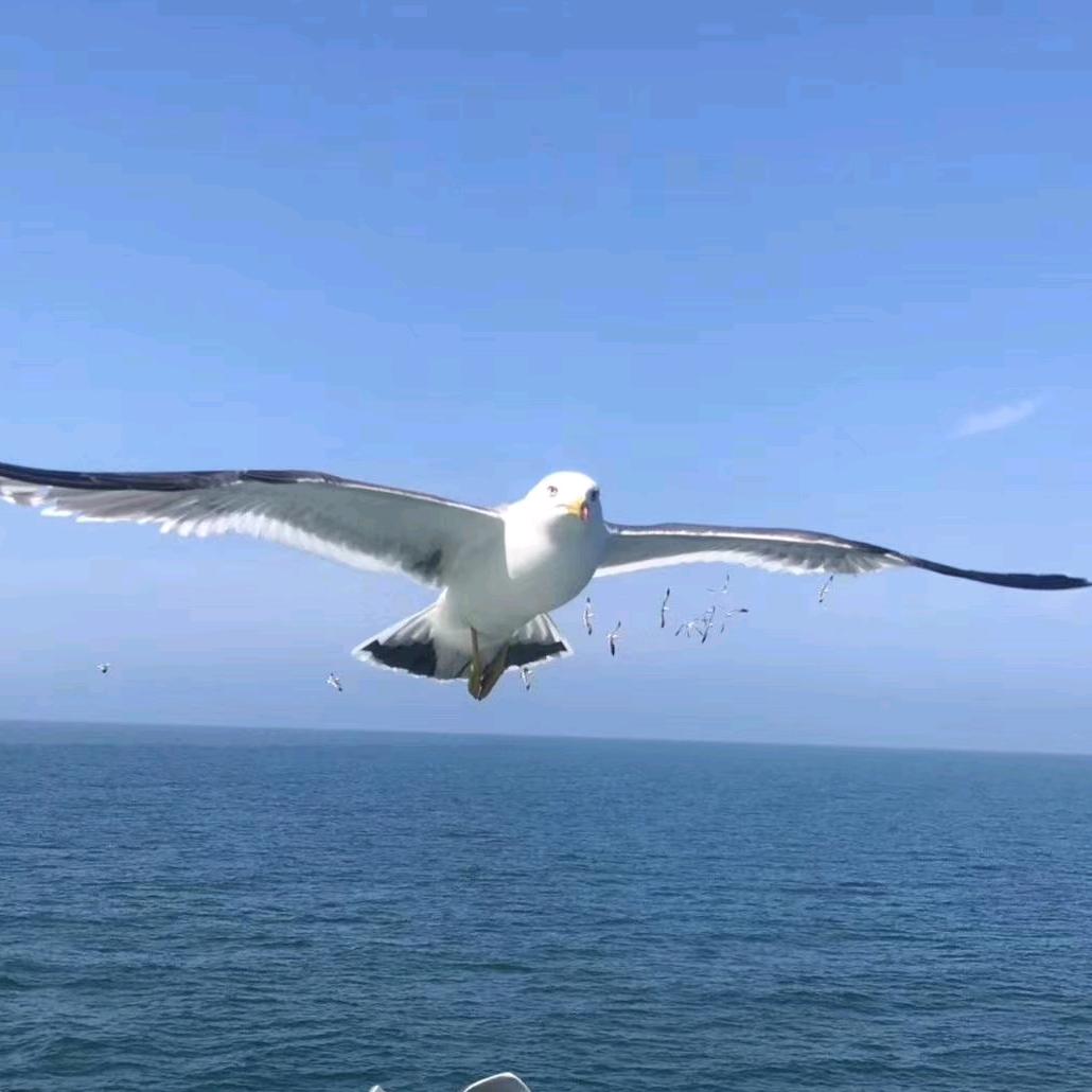 思念成沙