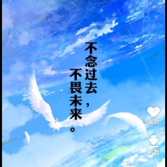 不念过往