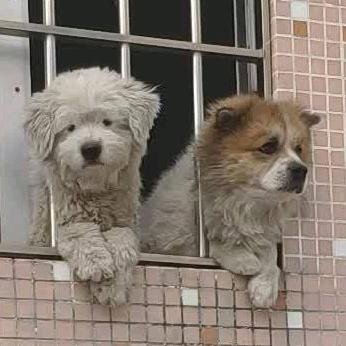 🌈你是风儿，我是啥？